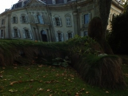 divagation courges courbes 9774.JPG
