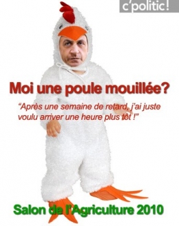 poule mouillée sarkozy_bebepoulet.jpg