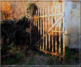 porte grillée0505.JPG