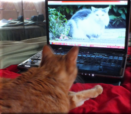 DSCF5202 merci skype.png