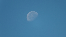 DSCF5400.JPG