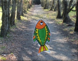 poissonvolant 3783.JPG