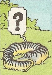 serpent mord sa queue.jpg