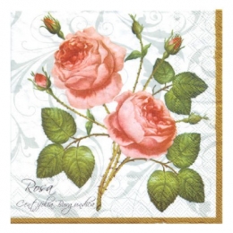 rosa burgundica.jpg