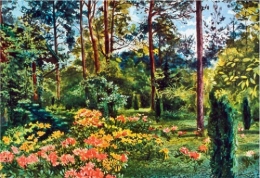 jardin.jpg