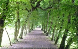 charmilles été 2012 7988.JPG