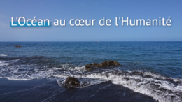 Ocean.png