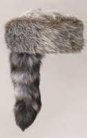 bonnet raton laveur.jpg