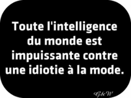 idiotie.jpg
