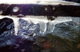 celameglace0639.JPG