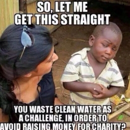 ice bucket challenge is to make money.jpg