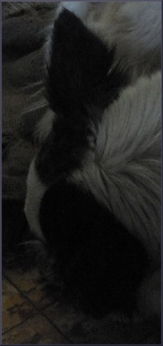 dollydort1218.JPG