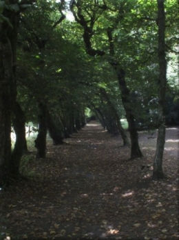 charmilles 9 8 2012 8904.JPG