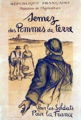 Semez des pommes de terre pour les soldats de la France.jpeg
