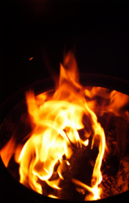DSCF1286 libelles pour allumer le feu.png