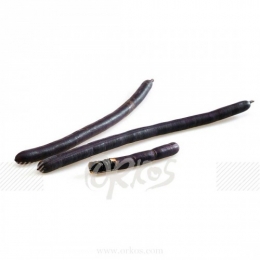 cassia_fistula_stick_thailand_view1.jpg