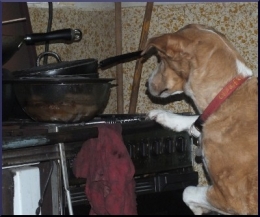 nala top chef   1677.JPG