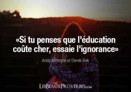 education ignorance.jpg