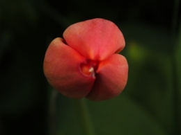 DSCF5918.JPG