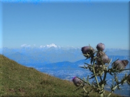 bonheurdesortir 9472.JPG
