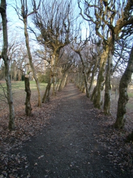 DSC04006.JPG