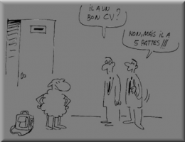mouton à cinq pattes.png