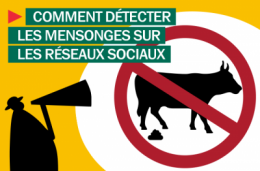 factcheck_blog_title_fr.png