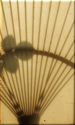 DSCF6188 dessous coquin.png