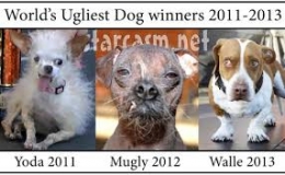 chiens moches.jpg