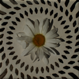 vieillecoquetteDSCF3329.png