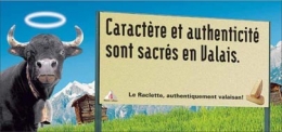 vache_aureole.jpg