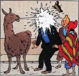 lamafache.jpg