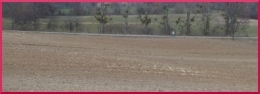 marcheur solo2661.JPG