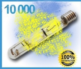 ampoule-10000.jpg