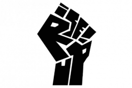 occupy_poing protestation.jpg
