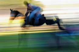 reves-cheval-plus-beau-flou-artistique_365166.jpg