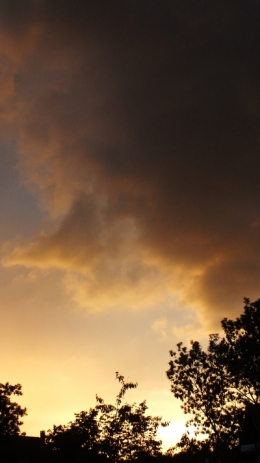 DSCF5230.JPG