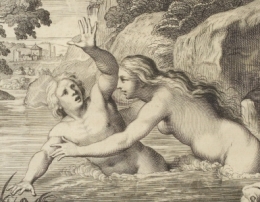 1-hermaphrodites.jpg