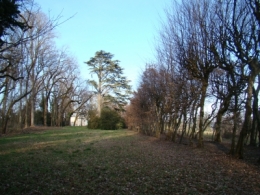 DSC04007.JPG
