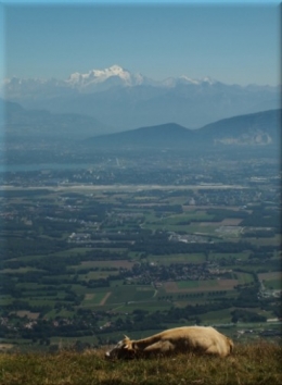 lavieestvachementbelle 9411.JPG