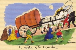 moucheducoche33c7517f.jpg
