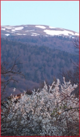 neige d en haut neige d en basDSCF3421.JPG