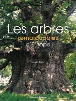 les arbres.jpg