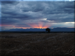 DSCF0039 (2) sunset.png