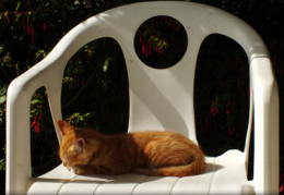DSCF4016 ne perdons pas le sommeil .png
