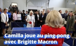 ping-pong-cb9274-0e77e9-0@1x.jpg