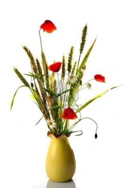 bouquet-de-fleurs-sauvages-avec-bl--de-pavot.jpg