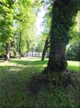 paixconcordeunion 5363.JPG