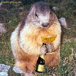 marmotte-avec champagne.jpg