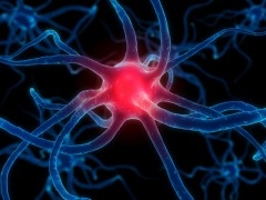 Cause-of-Parkinson-Disease-lg.jpg